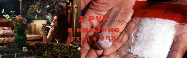 крисы Алексин