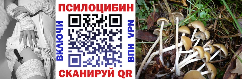Галлюциногенные грибы Cubensis  Нолинск 