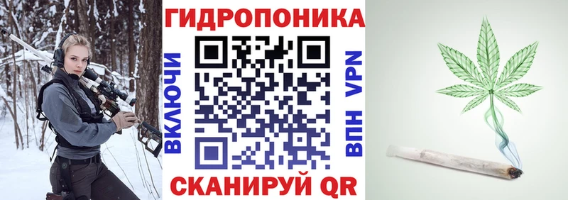 Бошки марихуана семена  Нолинск 
